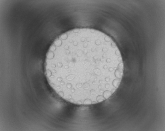 X0000081400162200702090113