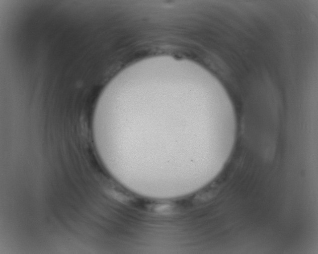 X0000081400173200702090113