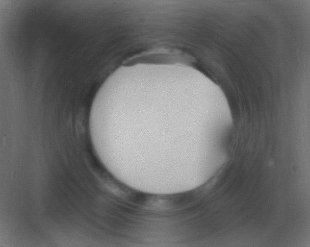 X0000081400174200702090113