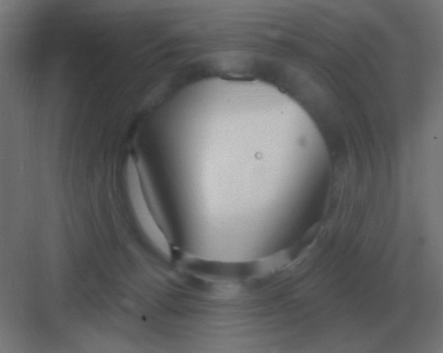 X0000081400176200702090113