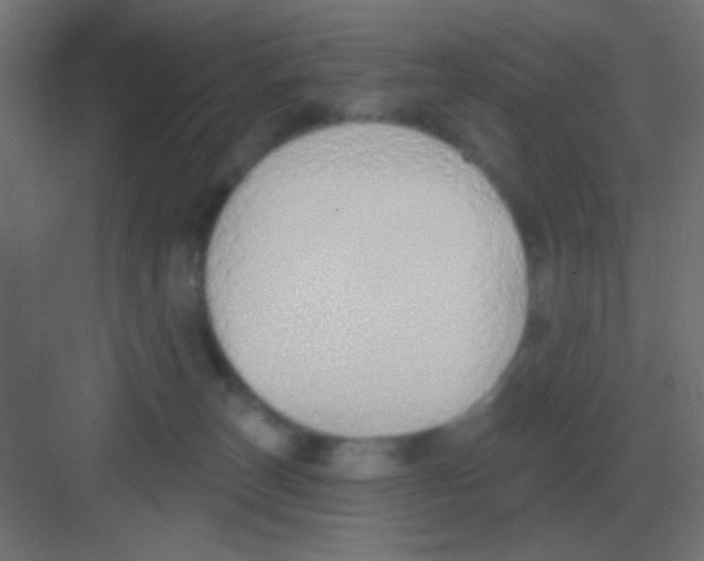 X0000081400179200702090113