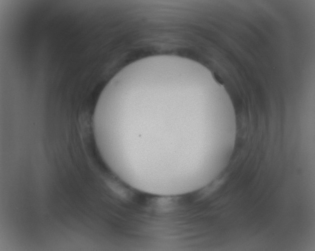 X0000081400184200702090113