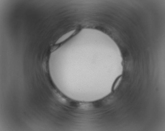 X0000081400185200702090113