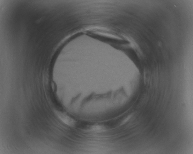 X0000081400204200702090112