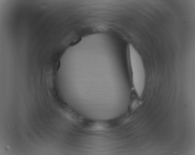 X0000081400223200702090112