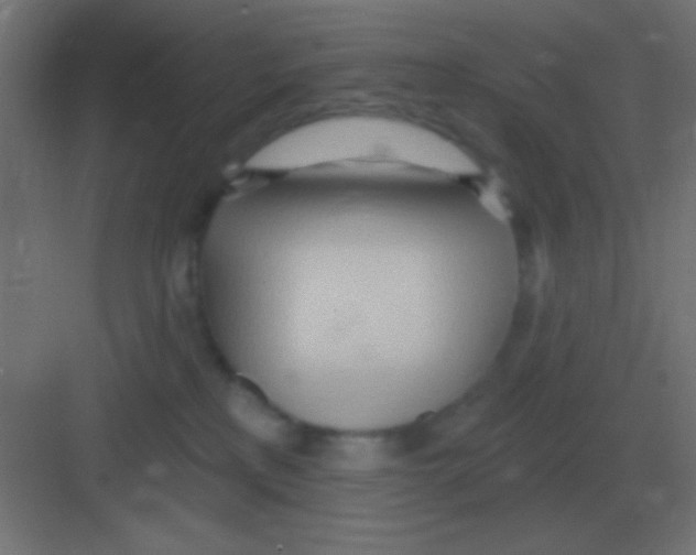 X0000081400233200702090112