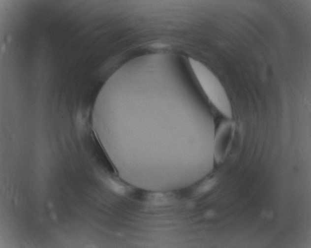 X0000081400239200702090111