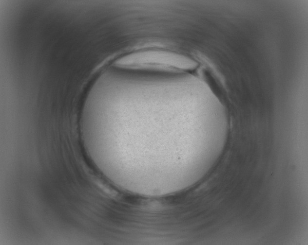 X0000081400249200702090111