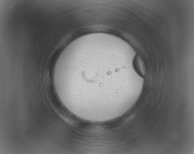 X0000081400254200702090111