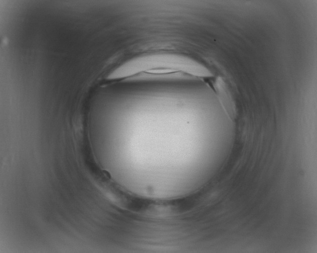 X0000081400260200702090111