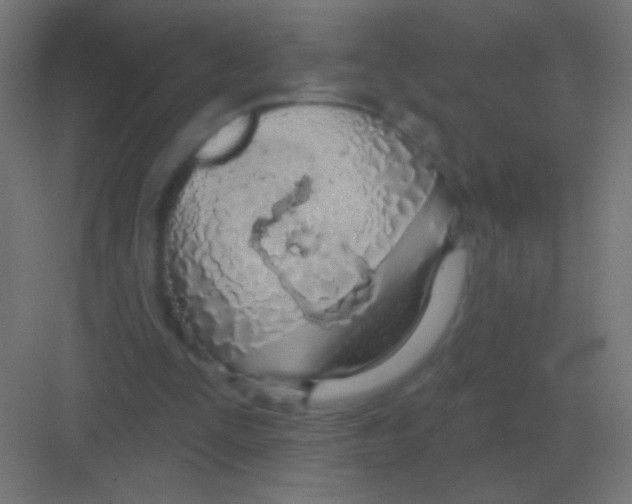 X0000081400295200702090111
