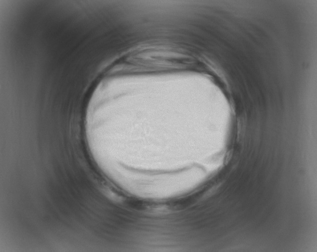 X0000081400301200702090110