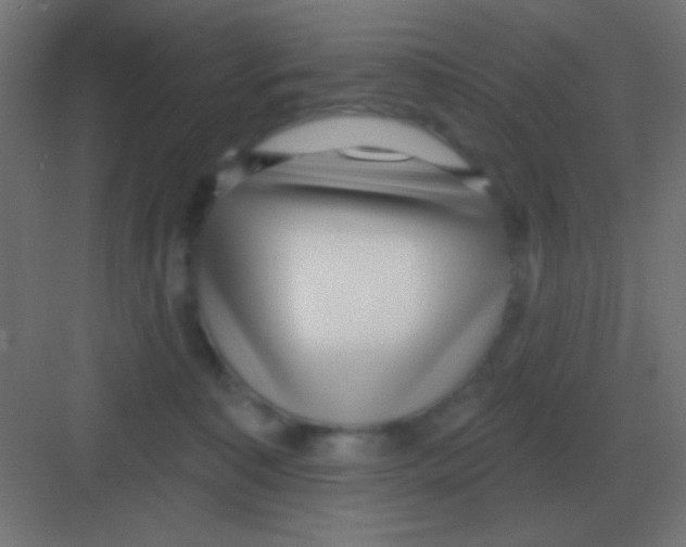 X0000081400323200702090110