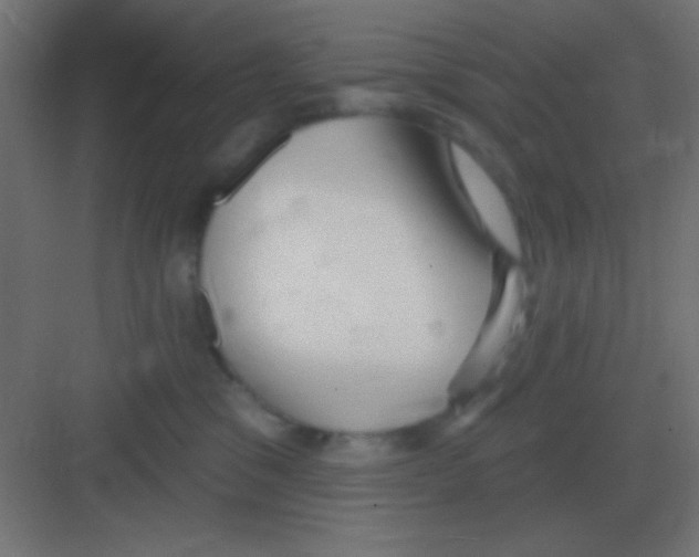 X0000081400329200702090110