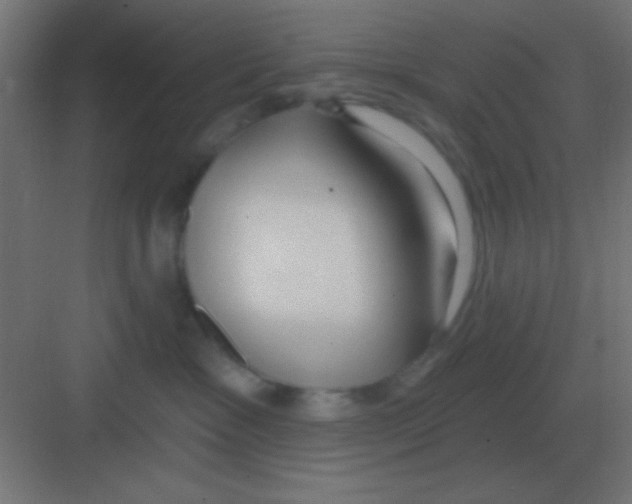 X0000081400333200702090110