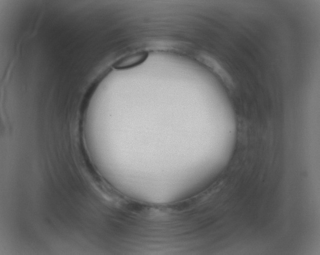 X0000081400346200702090109