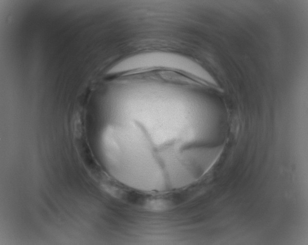 X0000081400360200702090109
