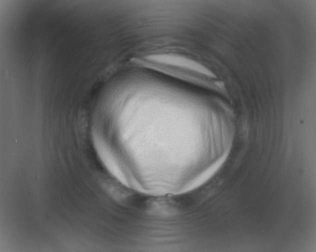 X0000081400372200702090110