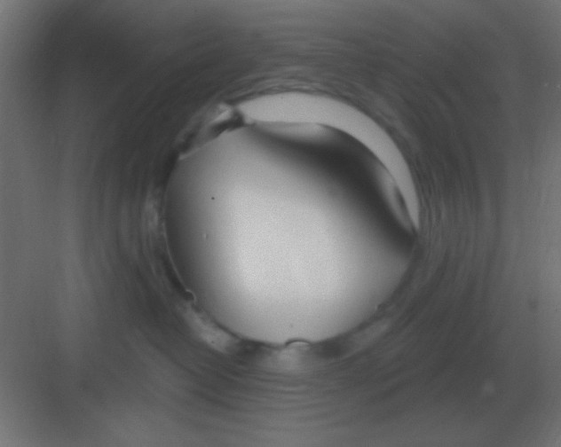 X0000081400382200702090110