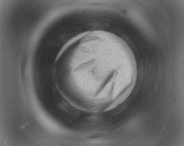 X0000081400383200702090110