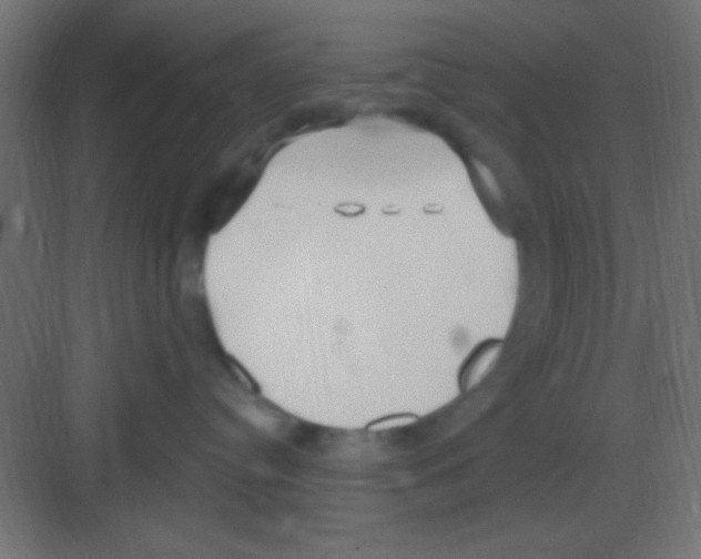 X0000081400384200702090110