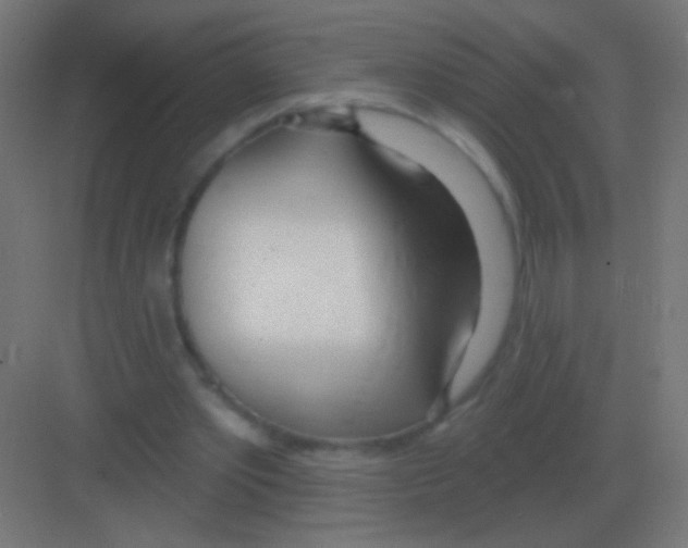 X0000081400389200702090109
