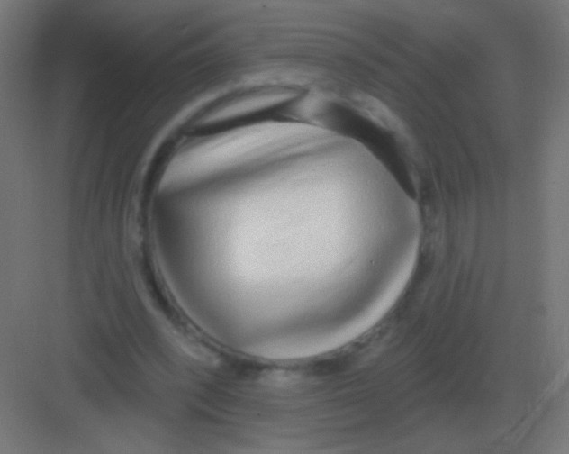 X0000081400392200702090109