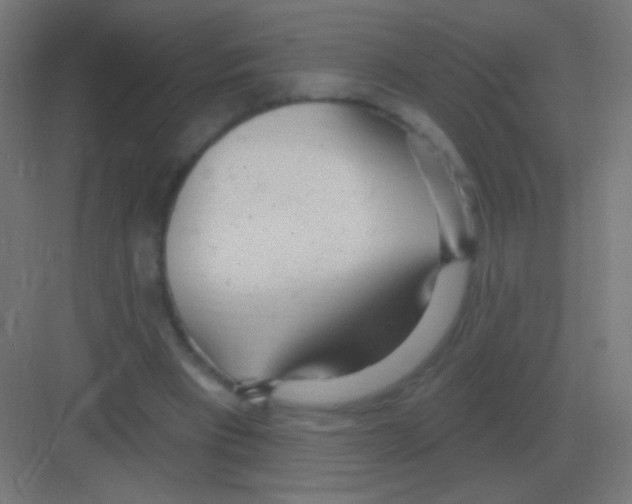 X0000081400393200702090109