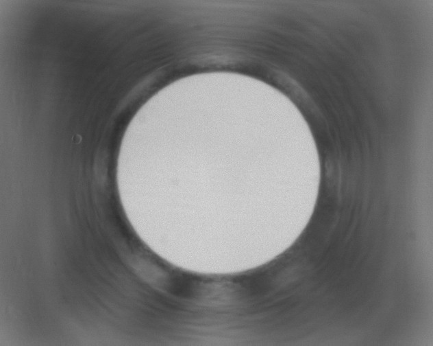 X0000081400396200702090109