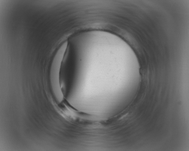 X0000081400397200702090109