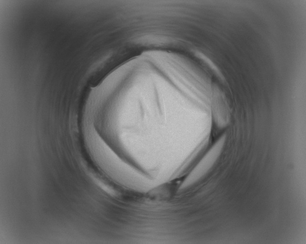 X0000081400399200702090109