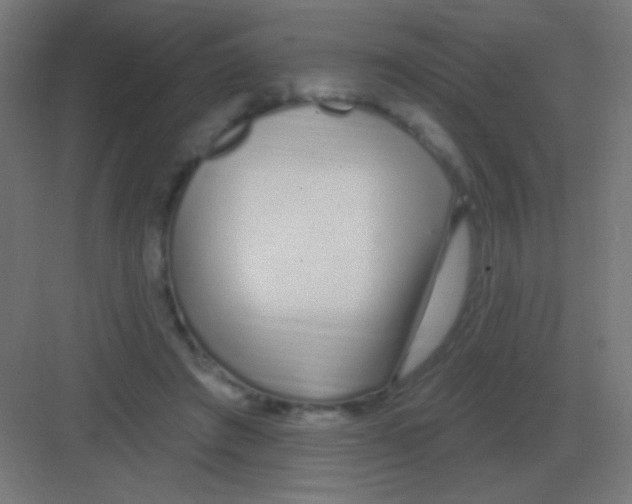 X0000081400401200702090109
