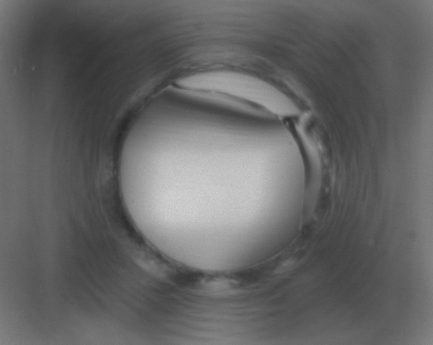 X0000081400407200702090109