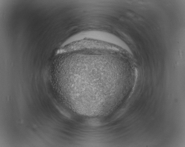 X0000081400409200702090109