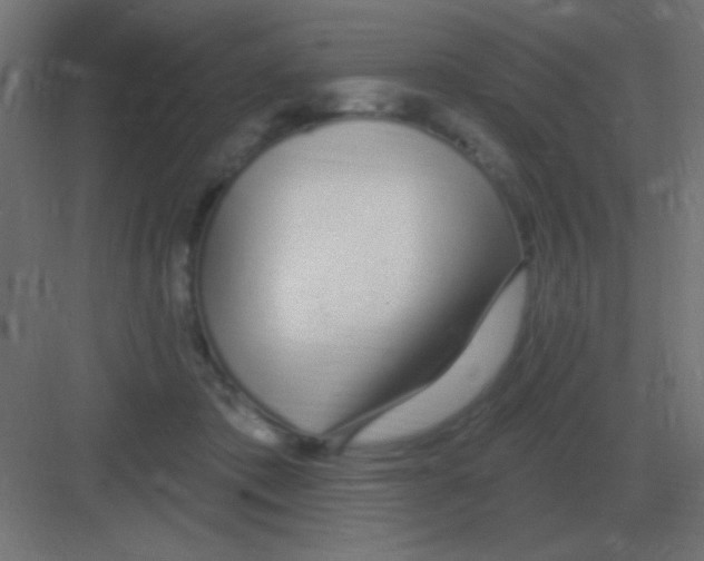 X0000081400413200702090109