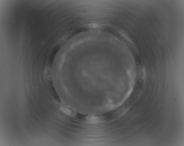 X0000081400419200702090108