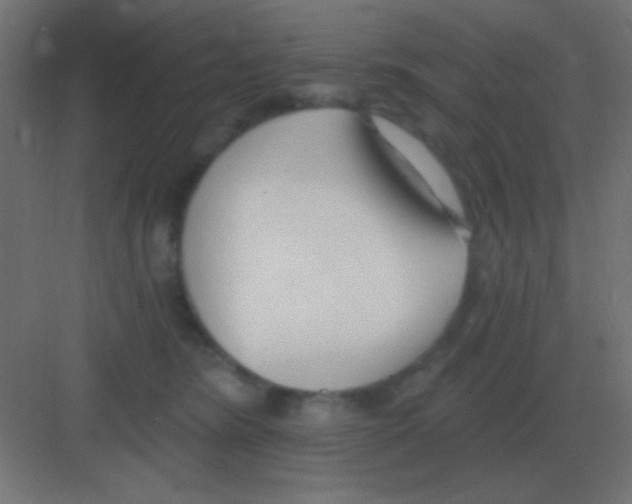 X0000081400420200702090108