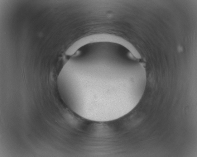 X0000081400424200702090108