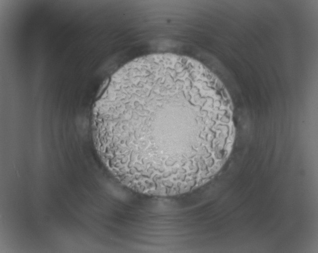 X0000081400427200702090108