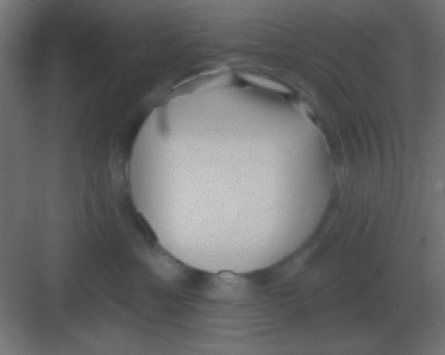 X0000081400429200702090108