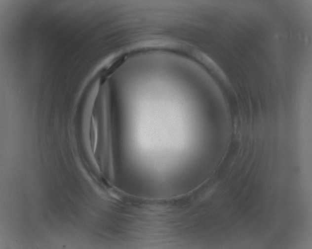 X0000081400436200702090107