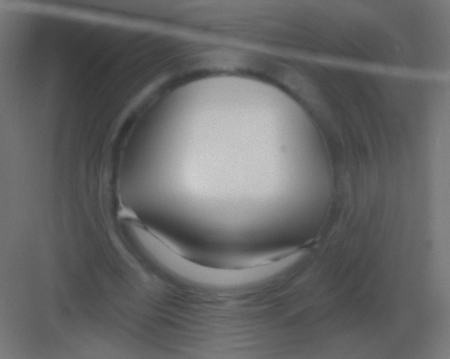 X0000081400440200702090108