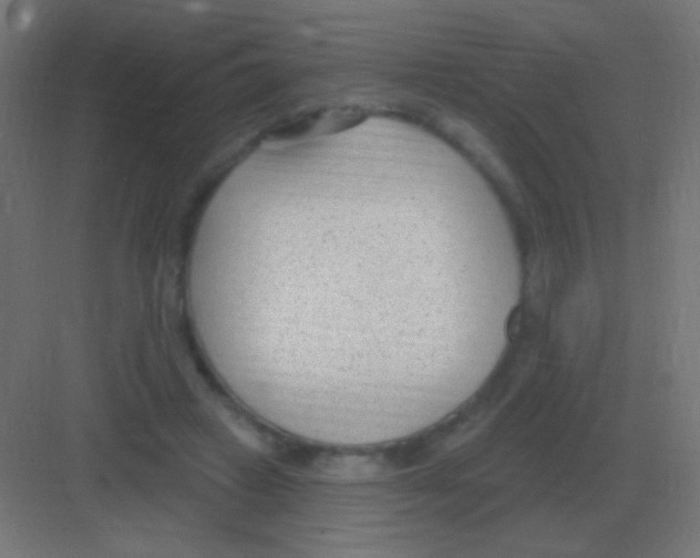 X0000081400449200702090108