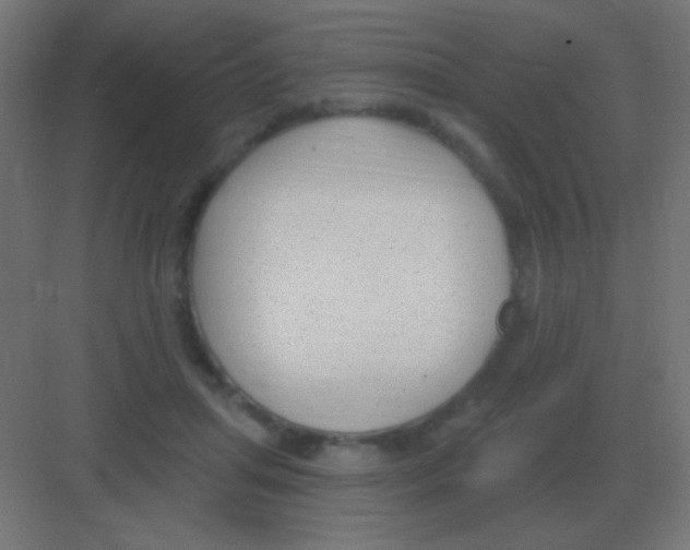 X0000081400455200702090108