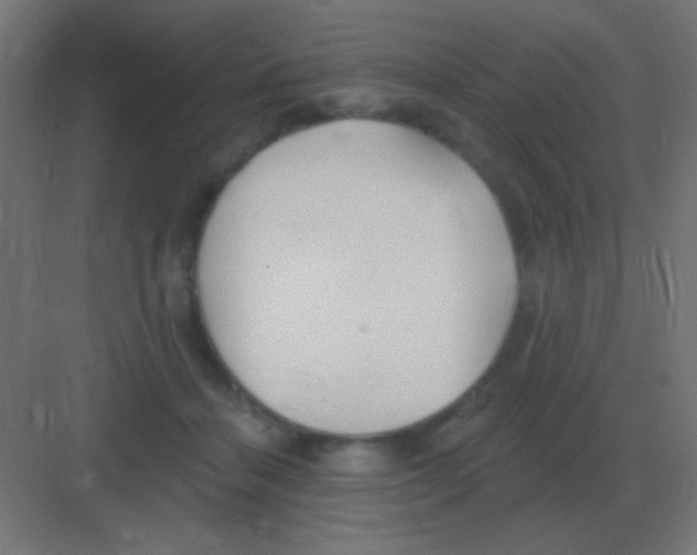 X0000081400460200702090108