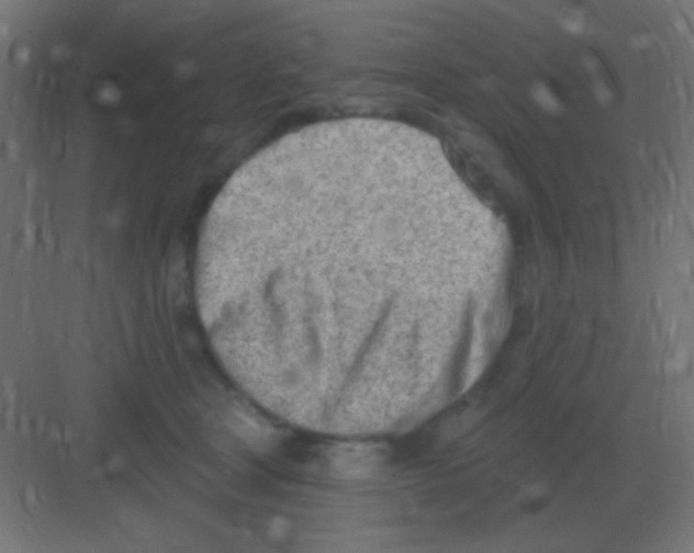 X0000081400465200702090108