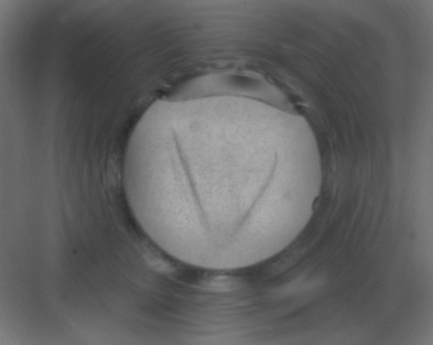 X0000081400467200702090108