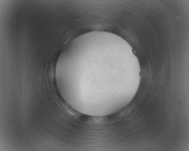 X0000081400479200702090108