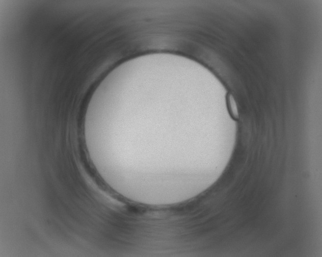 X0000081400482200702090107