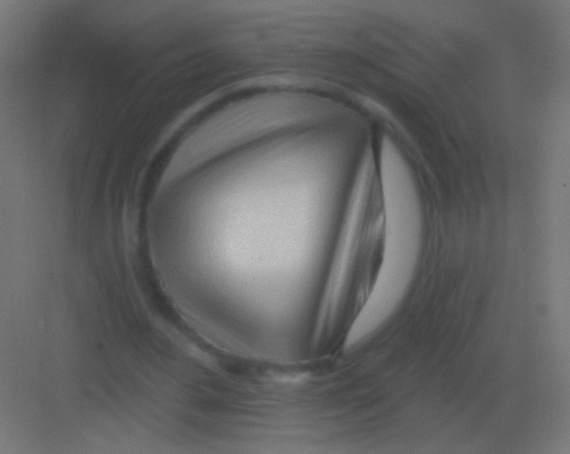X0000081400484200702090107